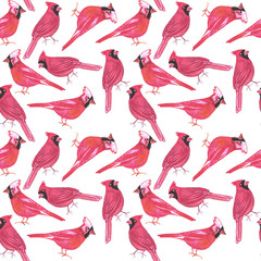 Northern cardinal or Cardinalis cardinalis bird seamless watercolor birds painting background