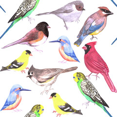 Various birds seamless watercolor background- budgie cardinal goldfinch titmouse kingfisher cedar waxwing juncos