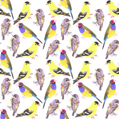 Birds in tints and shades of yellow seamless watercolor bird painting background