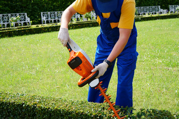 Gardener cuts foliage with a saw