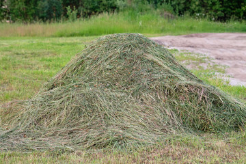 small stack of mown hay standing in the field