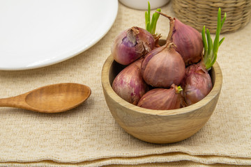 Shallots with sapling sprouted in a white dish, brown table cloth.