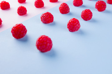Pattern of raspberries on pink blue background. Colorful diet and healthy food concept. Background of raspberries. Top view. Flat lay. Copy space