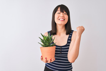 Young beautiful Chinese woman holding cactus pot over isolated white background screaming proud and celebrating victory and success very excited, cheering emotion