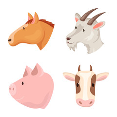 Vector design of farm and head logo. Collection of farm and homemade stock vector illustration.