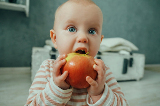 Cute kid eating a big apple