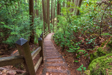 View at Trail in Park in Vancouver, Canada.