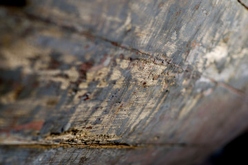detail of the texture of an old wooden boat  