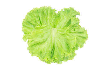 Naklejka na ściany i meble Salad leaf. Lettuce isolated on white background with clipping path.