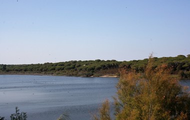landscape with calm lake Huelva Spain