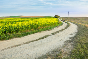 Bend on a dirt road between fields, horizon and sky