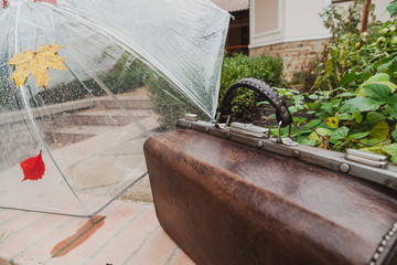 Transparent umbrella stands onstone tile in yard