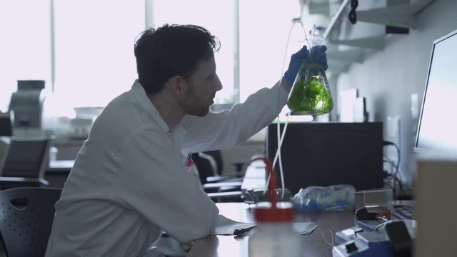 Man in a laboratory checking a flask with experiment with algae or green source
