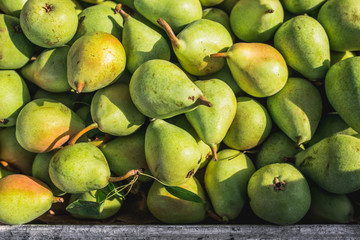 Close up of many juicy ripe pears on the counter - traditional Mediterranean market - selected top-quality natural products