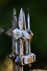 Korrodierter eiserner Zaun