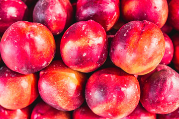 Closeup of many juicy ripe nectarines on the counter - traditional Mediterranean market - selected top-quality natural products