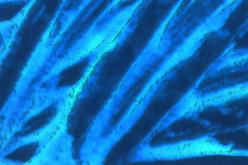 Abstract blue texture close-up shot