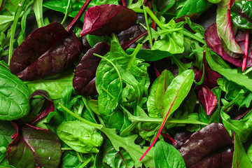 Healthy salad, leaves mix salad (mix micro greens, juicy snack). food background - Image