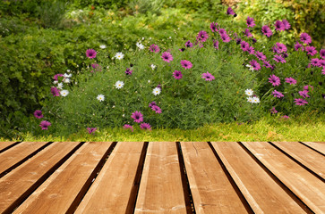 wooden shelf store with nature background