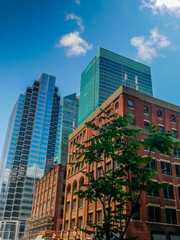 Obraz premium High Rise Building