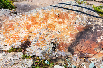 Rock painting. Gorny Altai, Russia