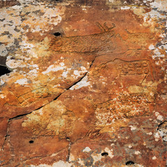 Rock painting. Gorny Altai, Russia