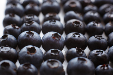blueberry on white background