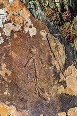 Rock painting. Gorny Altai, Russia