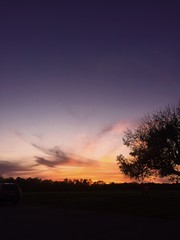 purple sunset