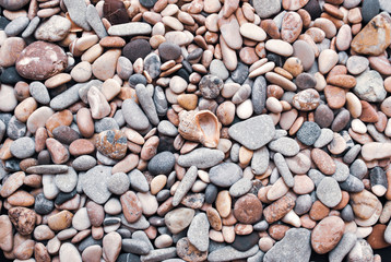 Multicolored colorful sea pebbles with shell, natural background, texture.Close-up texture of colorful sea pebble with shell . Small Rock. Sea background