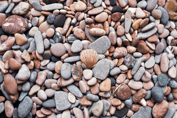 Multicolored colorful sea pebbles with shell, natural background, texture.Close-up texture of colorful sea pebble with shell . Small Rock. Sea background
