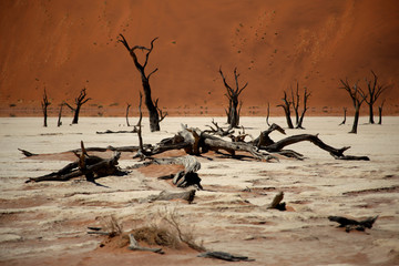 Dead vlei Namibia
