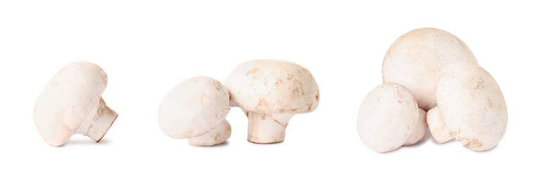 Set of fresh raw mushrooms (champignons) isolated on white background