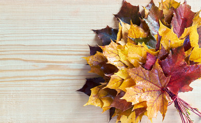 Naklejka na ściany i meble Maple leaf autumn bouquet on wooden background, flat lay, overhead top view, closeup, copy space, fall and back to school concept