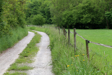 Electric fencing around pasture with farm animals