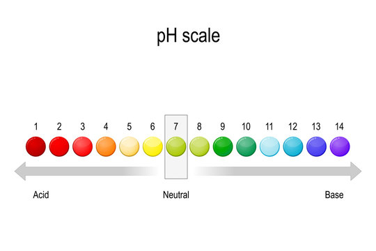 ph value scale. acid-base balance