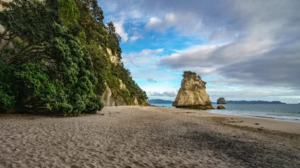 Outdoor-Kissen mighty sandstone rock monolith at cathedral cove beach,coromandel, new zealand 5 © Christian B.