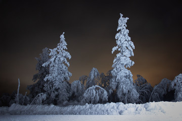 Winter