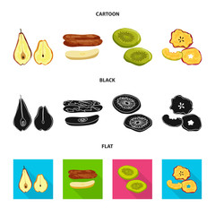 Vector design of food and raw icon. Collection of food and nature stock vector illustration.