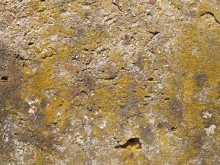 Old Pitted Ochre-colored Stucco Wall