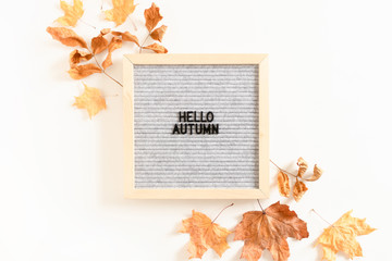 Quote Hello autumn. Composition with letterboard, and dried maple leaves on white background