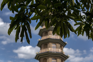 leaves, pagoda and blue sky