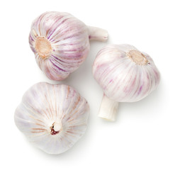 Young Garlic Isolated On White Background