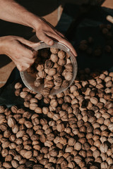 Hands pour walnuts from plastic bucket