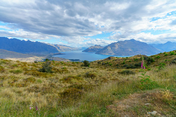 hiking the queenstown hill walkway, lake waktipu, new zealand 22
