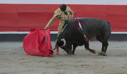 Fotobehang Torero toreando en la plaza de toros © Valeniker
