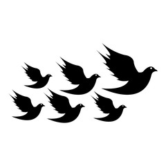 Black Bird Dove Logo Template Vector