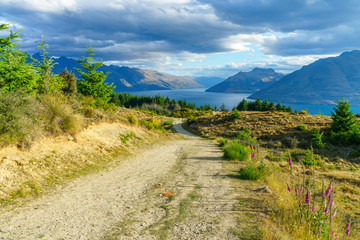 hiking the queenstown hill walkway, lake waktipu, new zealand 40