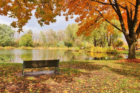 Midwest nature background with park view. Beautiful autumn landscape with colorful trees around the pond and bench in a city park. Lakeview park, Middleton, Madison area, WI, USA.