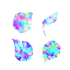 Set of coloured watercolour leaves of monstera